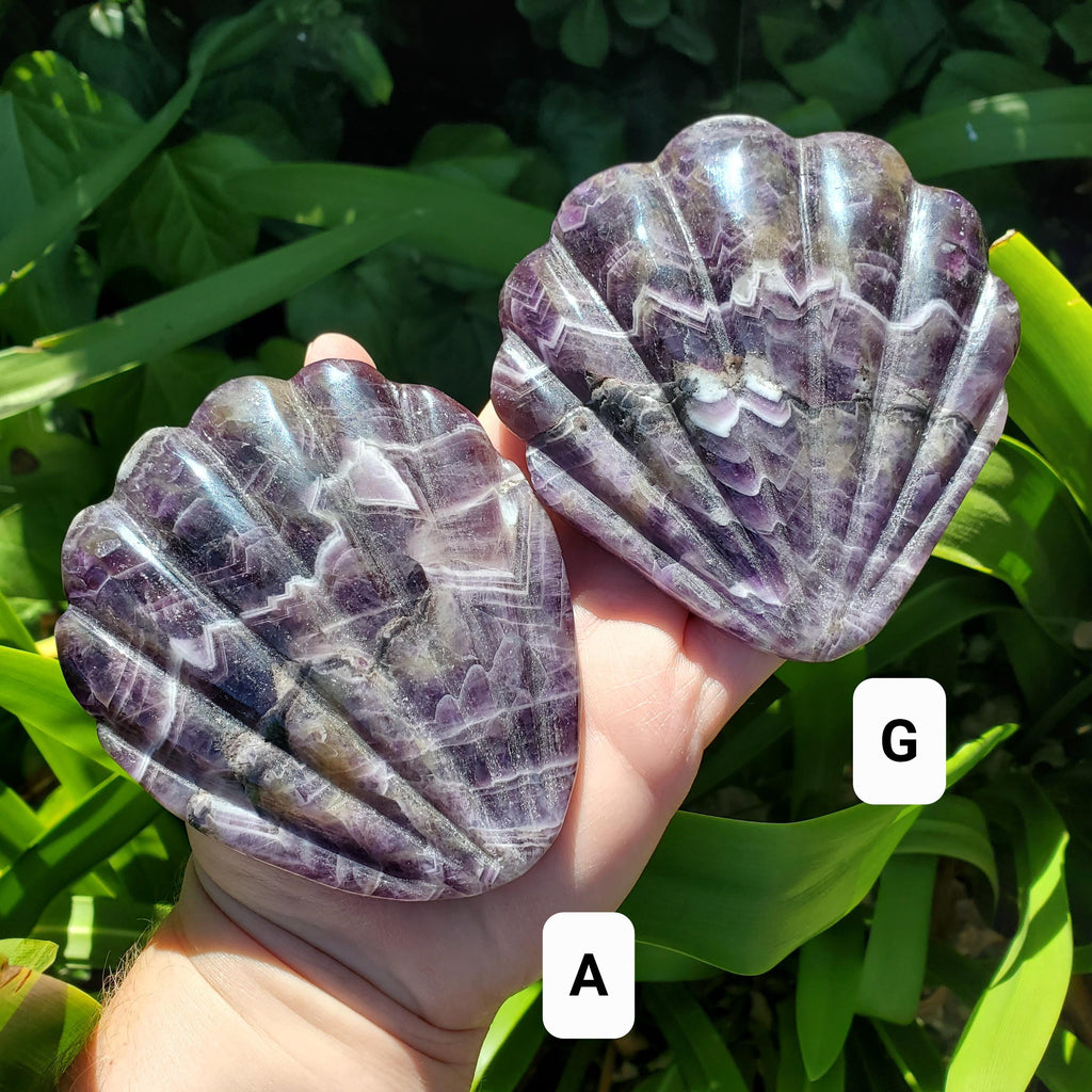 Dream Amethyst Seashell Mirror - Calming, Energetic Protection, Positivity, Divine Love - Amethyst Crystal Mirror for Vanity, Bathroom