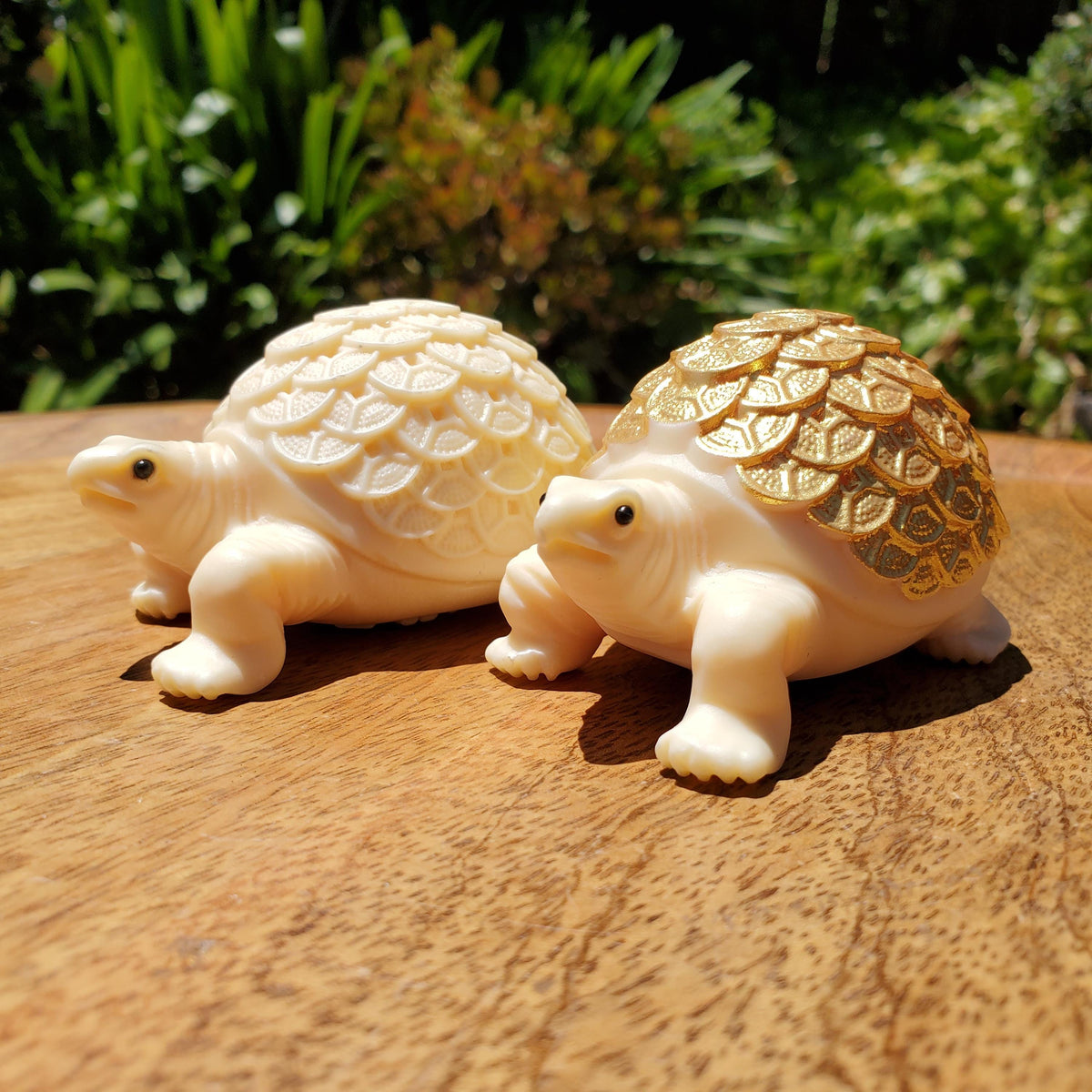 Ivory Nut Turtle Carving with Feng Shui Coin Design - Prosperity, Happiness, Love, Abundance - 3" Carved Tortoise Figurine Statue Home Decor