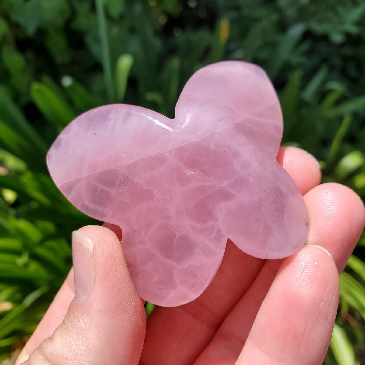 3D Rose Quartz Butterfly - Unconditional Love, Passion, Forgiveness - Pink Crystal Butterfly Stone Healing Crystals Gemstones