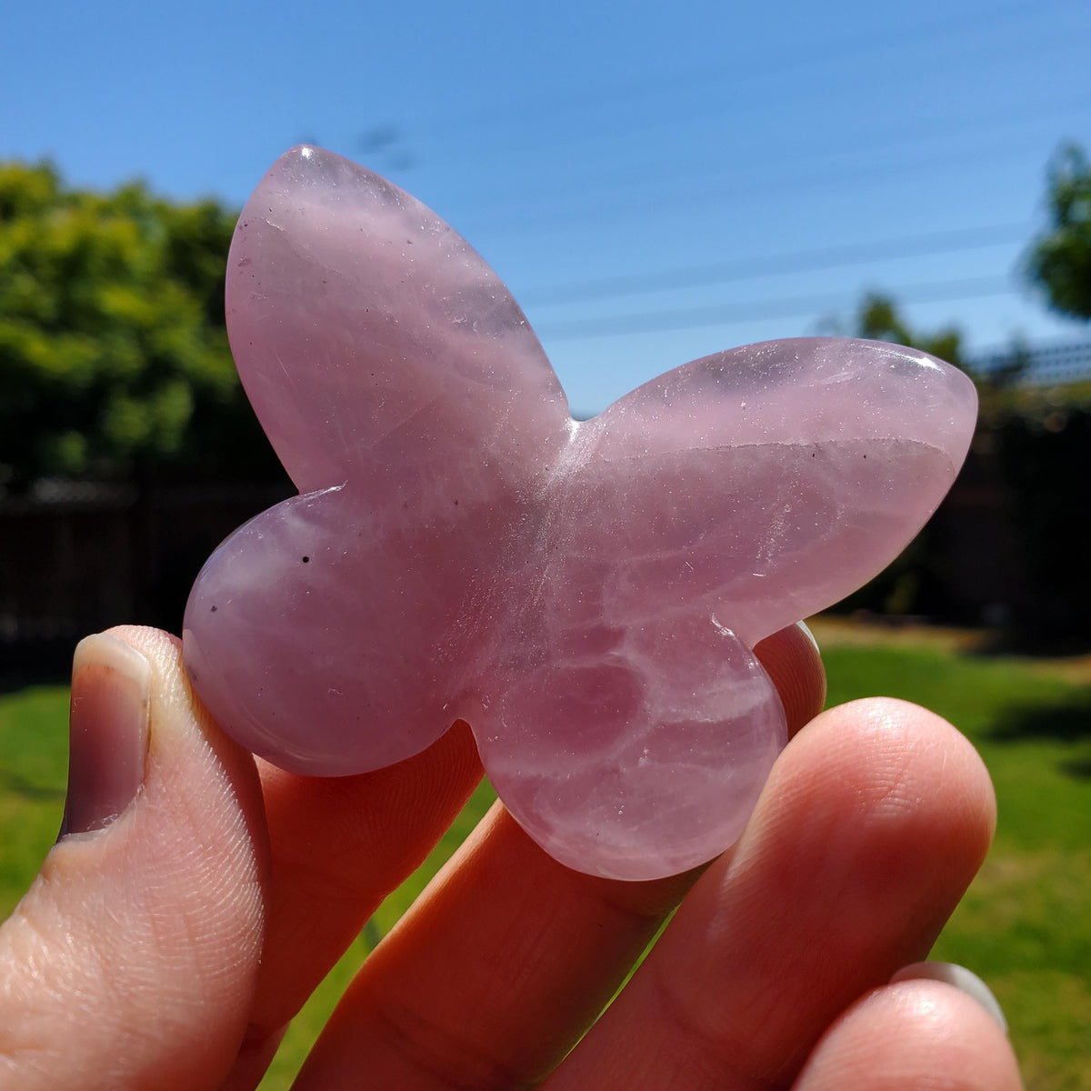 3D Rose Quartz Butterfly - Unconditional Love, Passion, Forgiveness - Pink Crystal Butterfly Stone Healing Crystals Gemstones