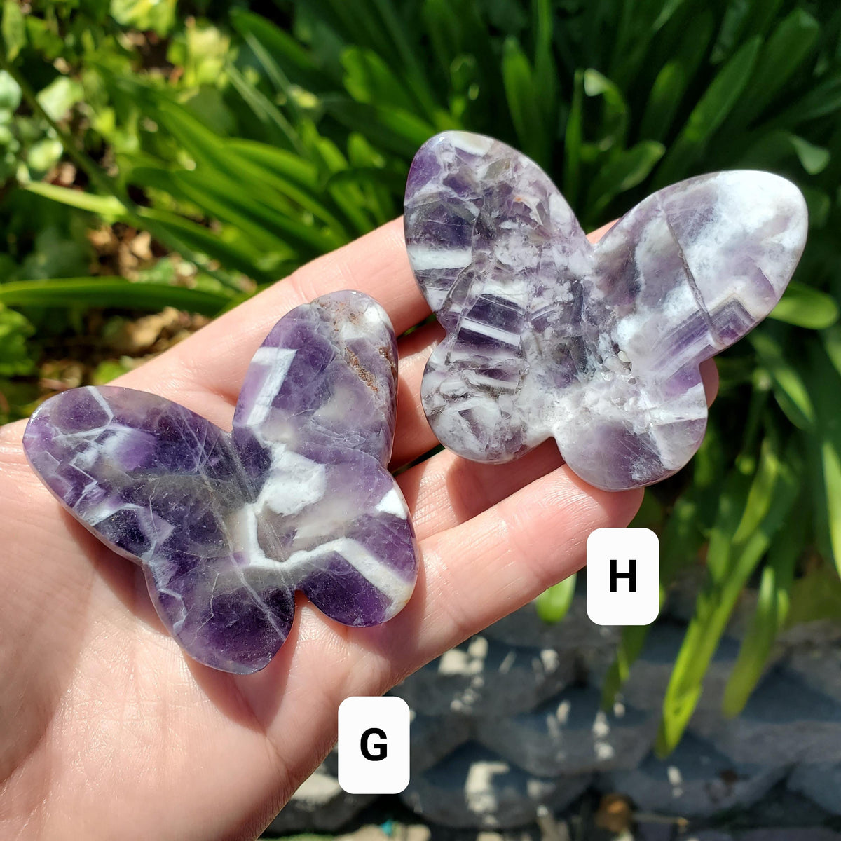 3D Dream Amethyst Butterfly - Divine Love, Calming, Energetic Protection, Positivity - Purple Amethyst Flying Butterfly Healing Gemstone
