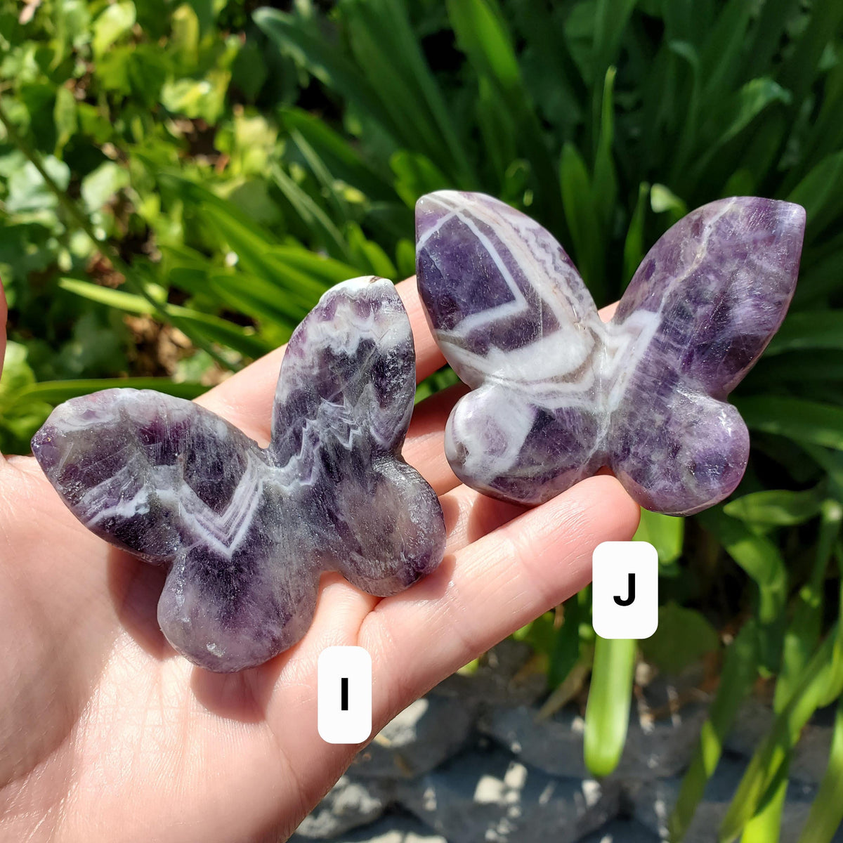 3D Dream Amethyst Butterfly - Divine Love, Calming, Energetic Protection, Positivity - Purple Amethyst Flying Butterfly Healing Gemstone