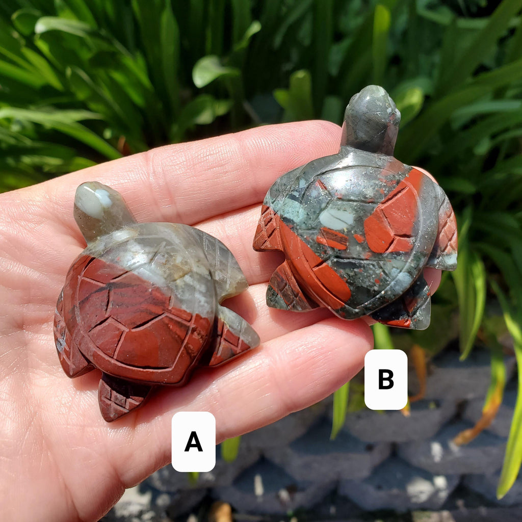 Cute African Bloodstone Turtle - Calming, Grounding, Persistence, Courage - Black and Red Crystal Turtle Carving Healing Gemstone