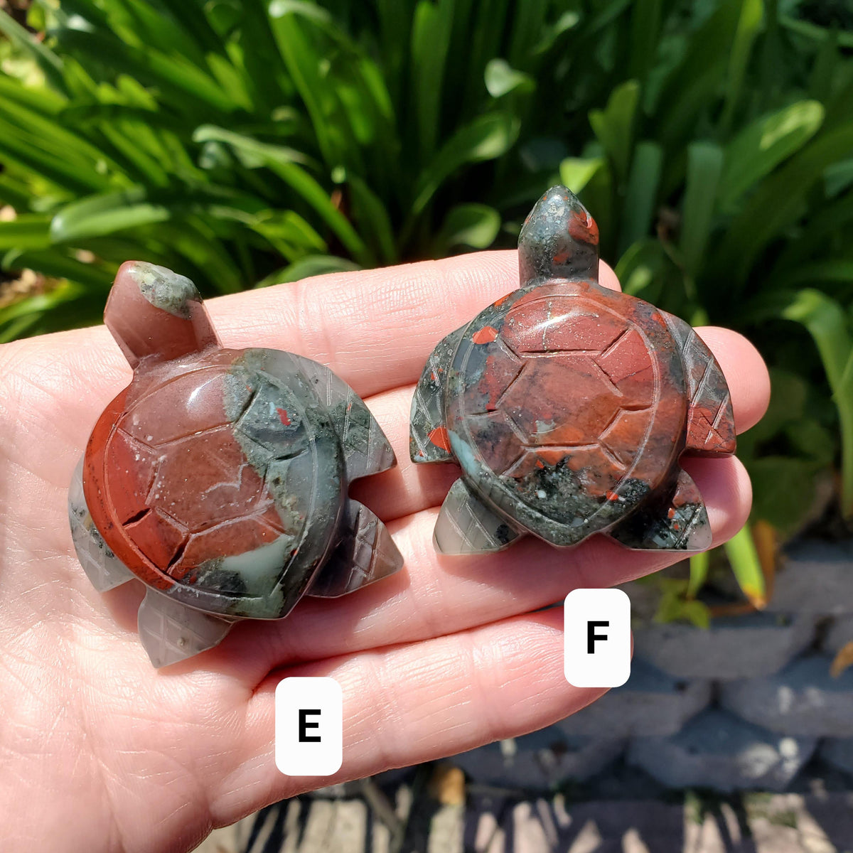 Cute African Bloodstone Turtle - Calming, Grounding, Persistence, Courage - Black and Red Crystal Turtle Carving Healing Gemstone