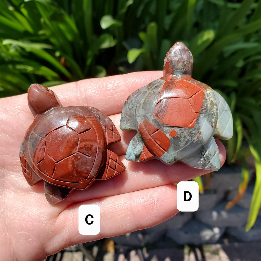 Cute African Bloodstone Turtle - Calming, Grounding, Persistence, Courage - Black and Red Crystal Turtle Carving Healing Gemstone