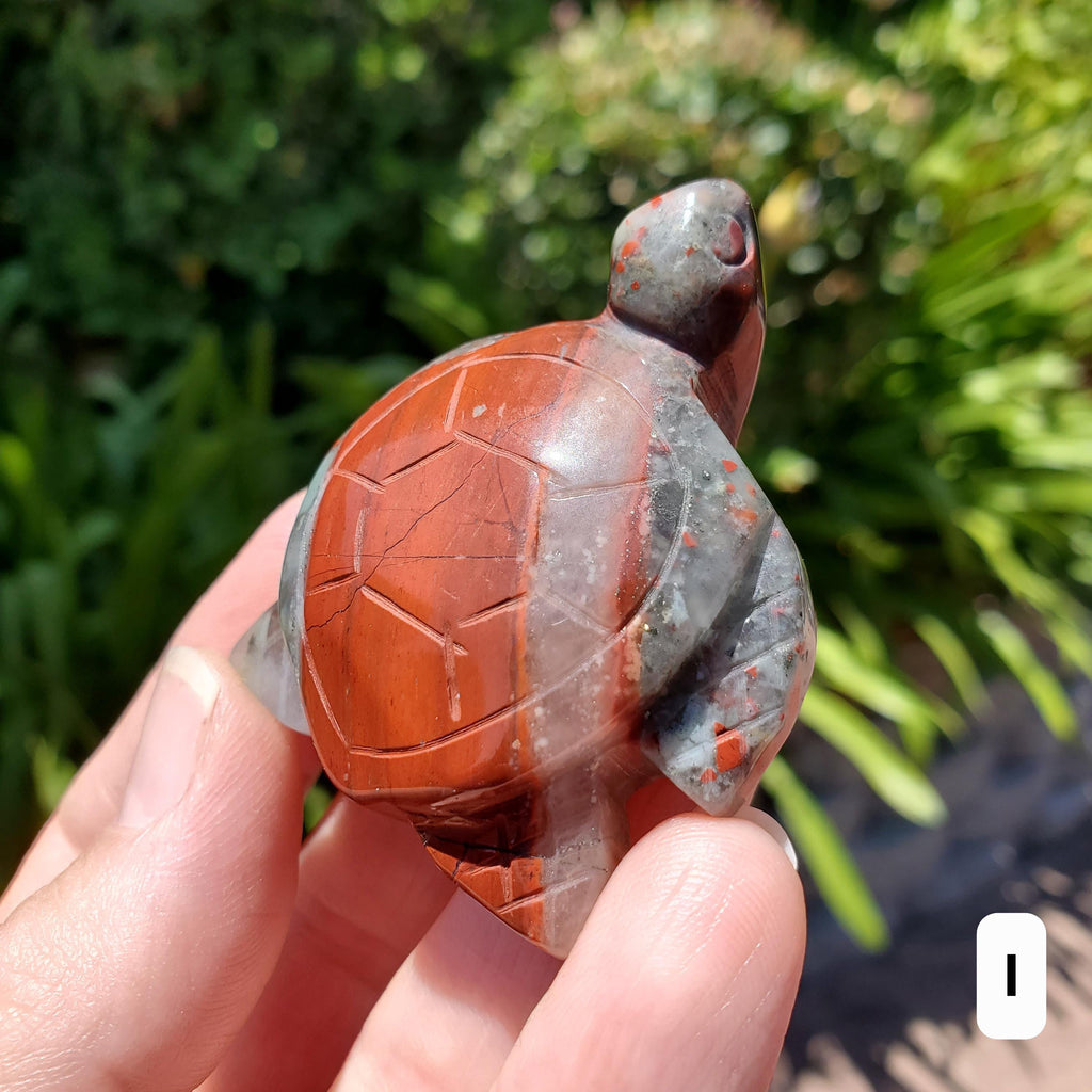 Cute African Bloodstone Turtle - Calming, Grounding, Persistence, Courage - Black and Red Crystal Turtle Carving Healing Gemstone