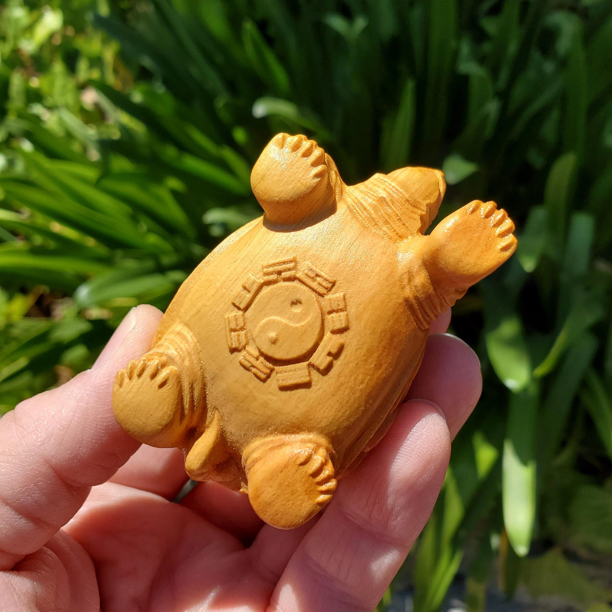Cypress Wood Turtle with Feng Shui Coin Design - A Symbol of Immortality, Protective From Negative Energies - Carved Turtle Figurine