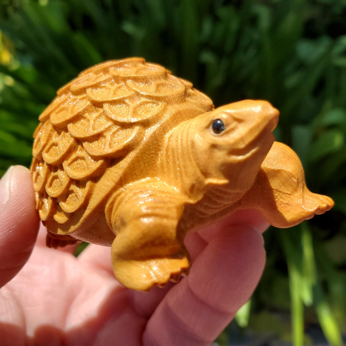 Cypress Wood Turtle with Feng Shui Coin Design - A Symbol of Immortality, Protective From Negative Energies - Carved Turtle Figurine