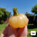 Cute Orange Calcite Pumpkin with Serpentine Jade Stem - Confidence, Self-Esteem, Creative & Sexual Energy - Calcite Crystal Pumpkin Carving