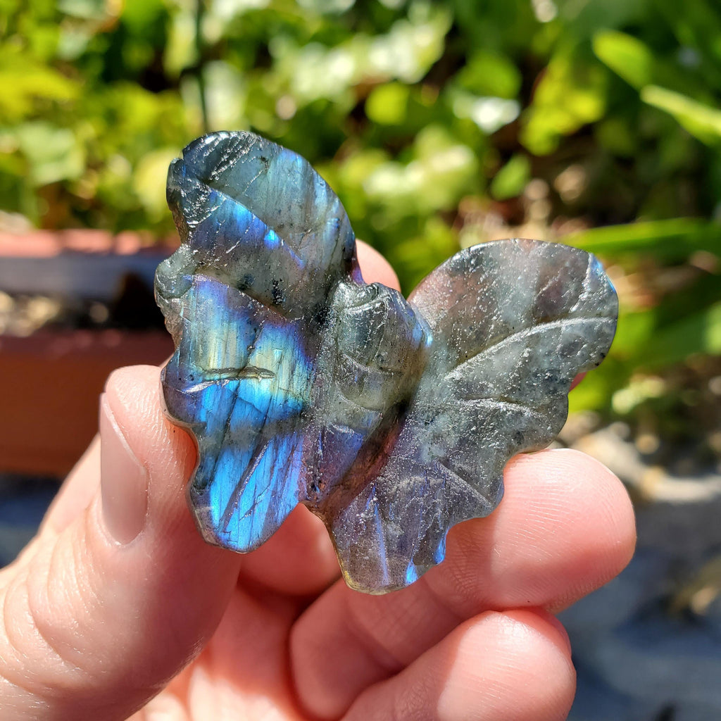 Cute Labradorite Butterfly Set of 2 - Awareness, Connection, Intuition, Wisdom - Flashy Crystal Butterfly Healing Gemstone