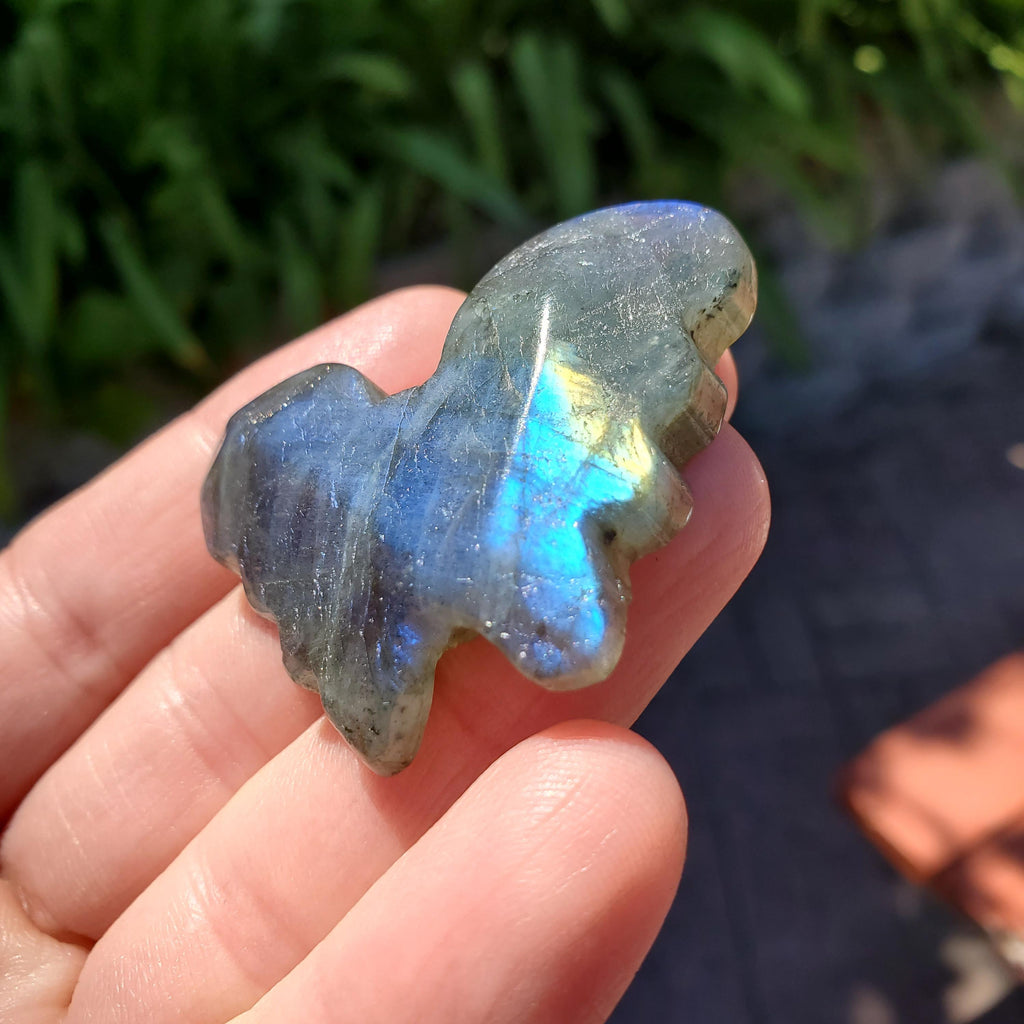 Cute Labradorite Butterfly Set of 2 - Awareness, Connection, Intuition, Wisdom - Flashy Crystal Butterfly Healing Gemstone