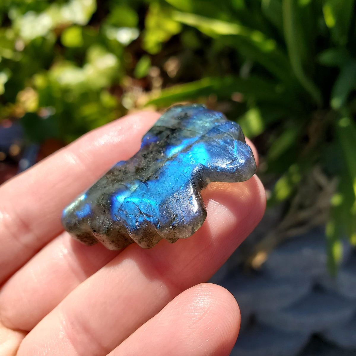 Cute Labradorite Butterfly Set of 2 - Awareness, Connection, Intuition, Wisdom - Flashy Crystal Butterfly Healing Gemstone