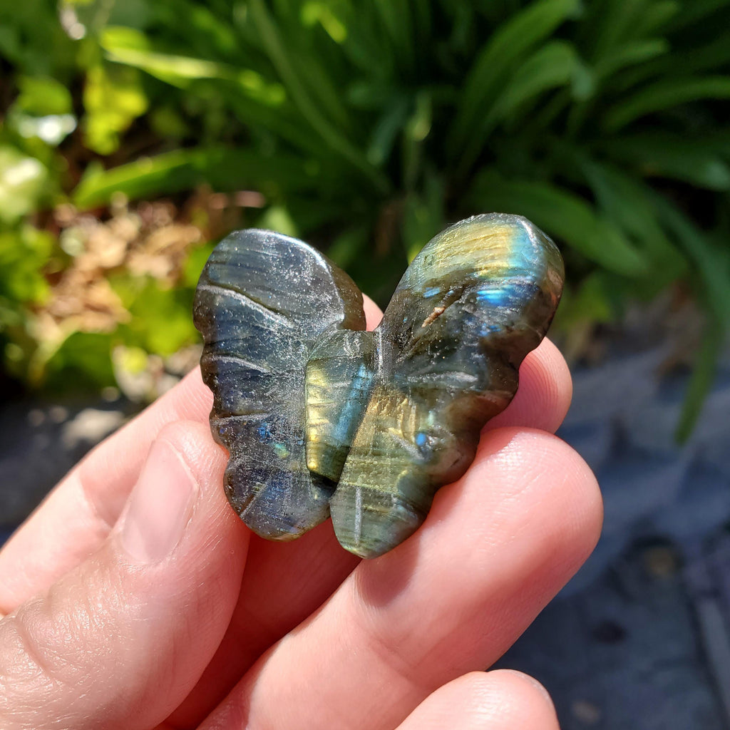 Cute Labradorite Butterfly Set of 2 - Awareness, Connection, Intuition, Wisdom - Flashy Crystal Butterfly Healing Gemstone