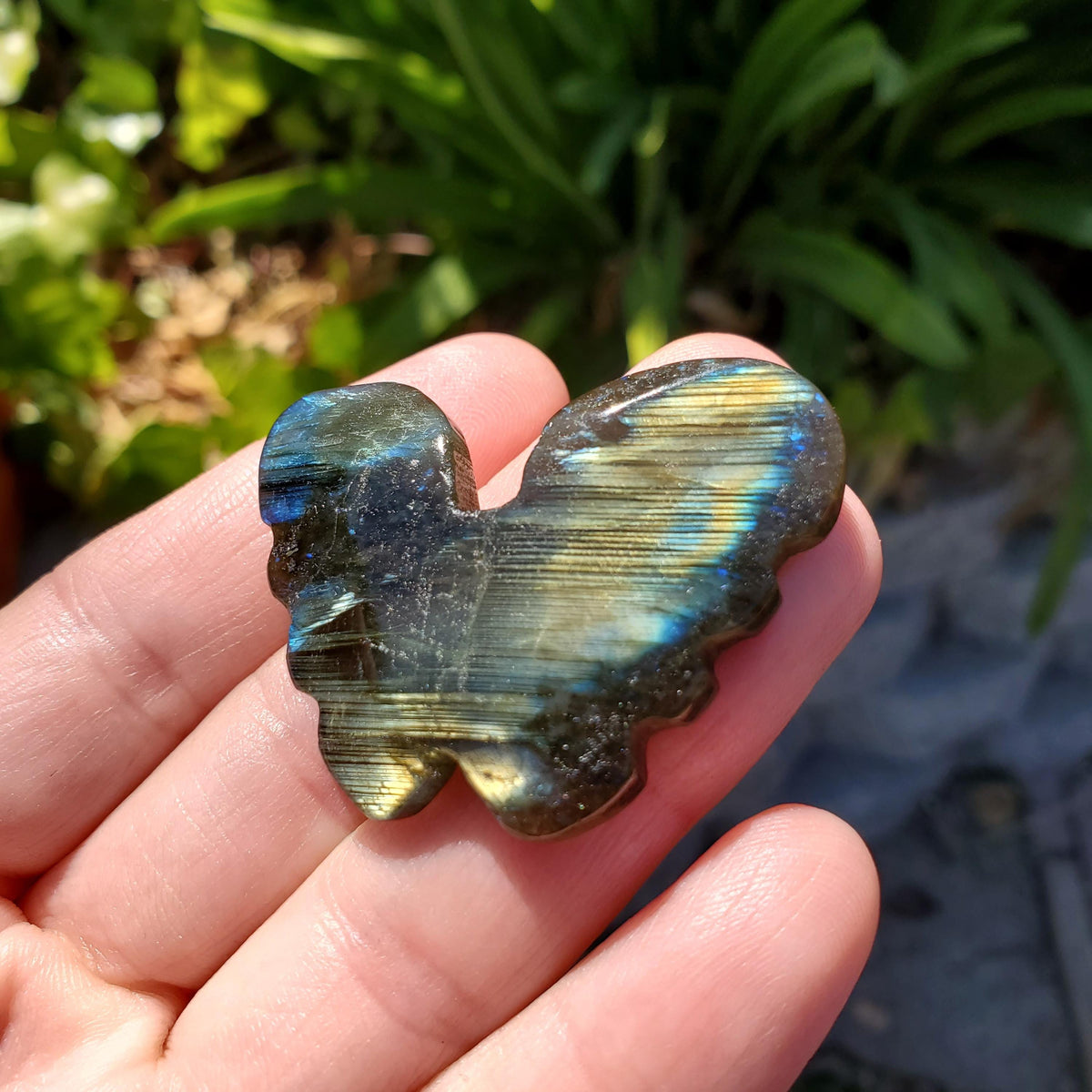 Cute Labradorite Butterfly Set of 2 - Awareness, Connection, Intuition, Wisdom - Flashy Crystal Butterfly Healing Gemstone