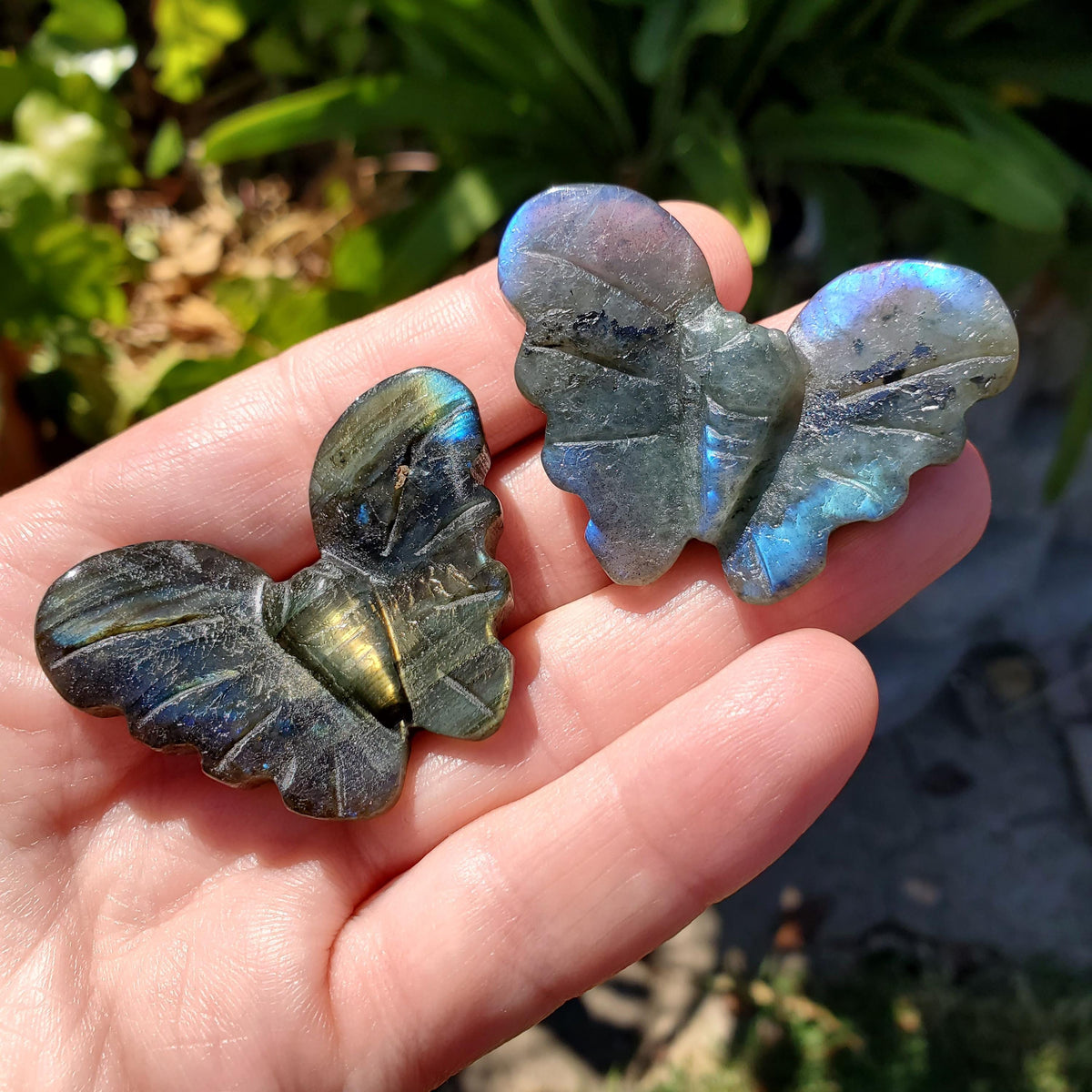 Cute Labradorite Butterfly Set of 2 - Awareness, Connection, Intuition, Wisdom - Flashy Crystal Butterfly Healing Gemstone