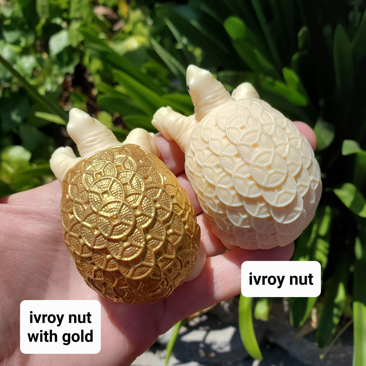 Ivory Nut Turtle Carving with Feng Shui Coin Design - Prosperity, Happiness, Love, Abundance - 3" Carved Tortoise Figurine Statue Home Decor