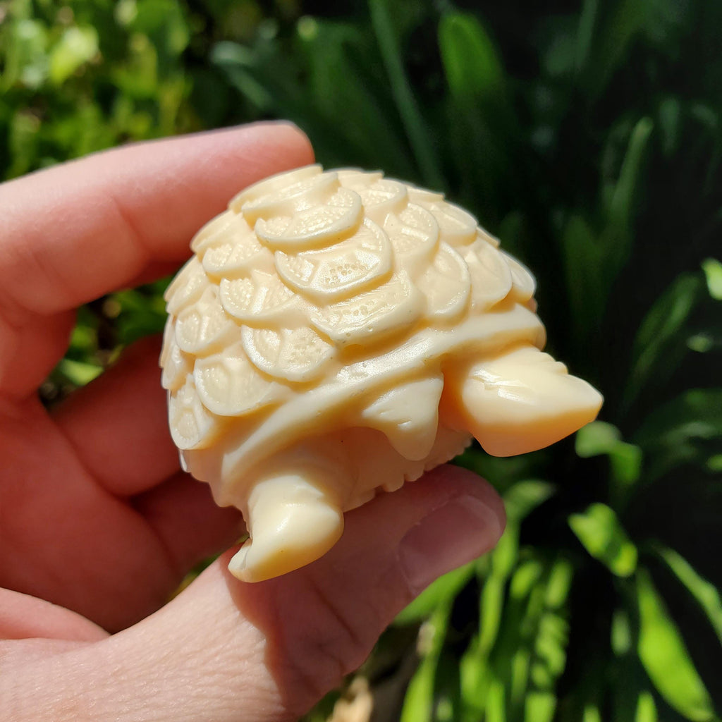 Ivory Nut Turtle Carving with Feng Shui Coin Design - Prosperity, Happiness, Love, Abundance - 3" Carved Tortoise Figurine Statue Home Decor