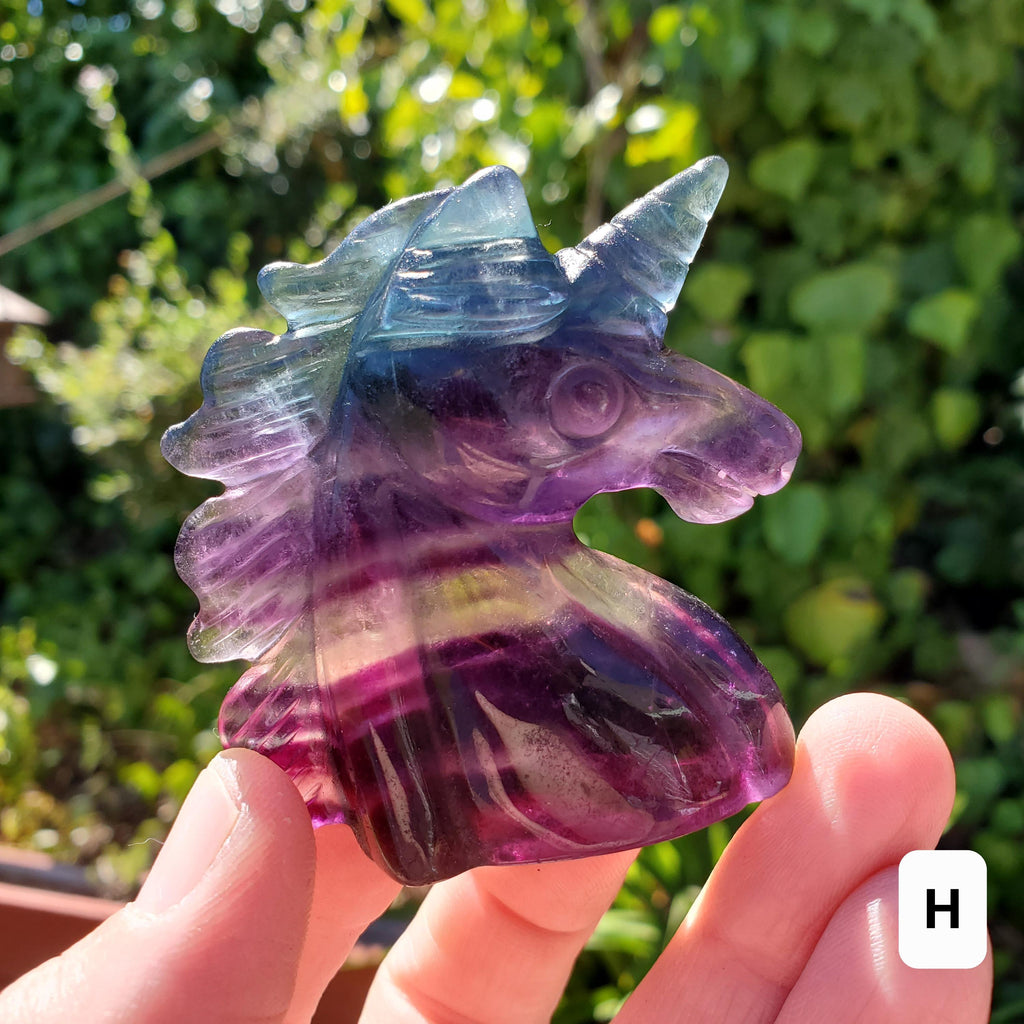 Small Rainbow Fluorite Unicorn - Stability, Concentration, Protection - Fluorite Carved Crystal Unicorn Healing Gemstones