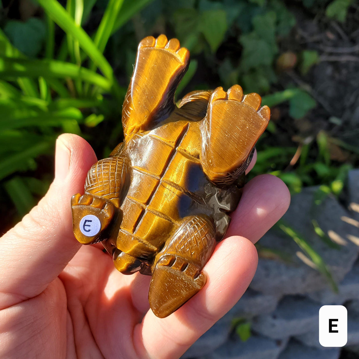 Flashy Tiger Eye Turtle - Courage, Motivation, Confidence, Grounding, Energetic Protection, Energy - Tigers Eye Crystal Healing Gemstones