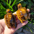 Flashy Tiger Eye Turtle - Courage, Motivation, Confidence, Grounding, Energetic Protection, Energy - Tigers Eye Crystal Healing Gemstones