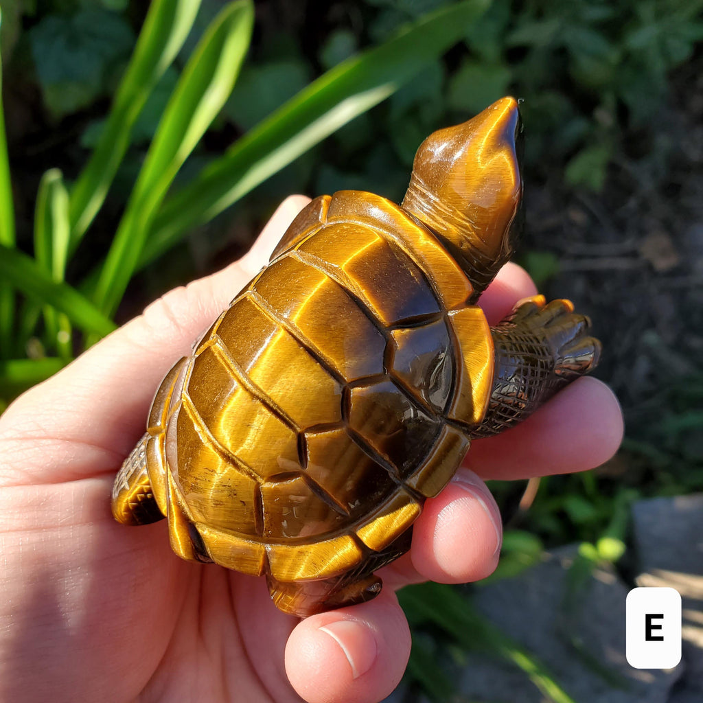 Flashy Tiger Eye Turtle - Courage, Motivation, Confidence, Grounding, Energetic Protection, Energy - Tigers Eye Crystal Healing Gemstones