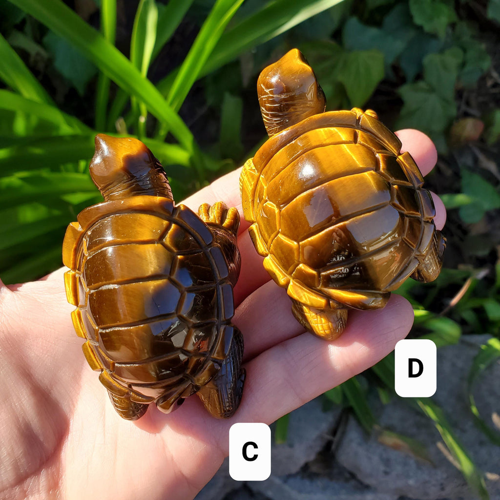 Flashy Tiger Eye Turtle - Courage, Motivation, Confidence, Grounding, Energetic Protection, Energy - Tigers Eye Crystal Healing Gemstones