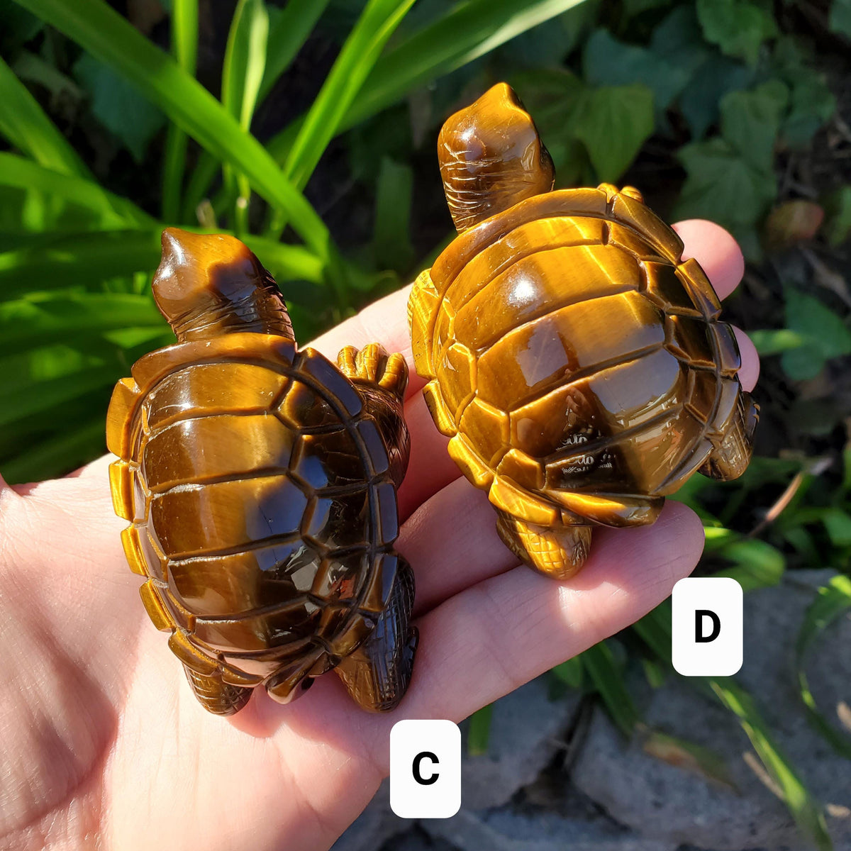 Flashy Tiger Eye Turtle - Courage, Motivation, Confidence, Grounding, Energetic Protection, Energy - Tigers Eye Crystal Healing Gemstones