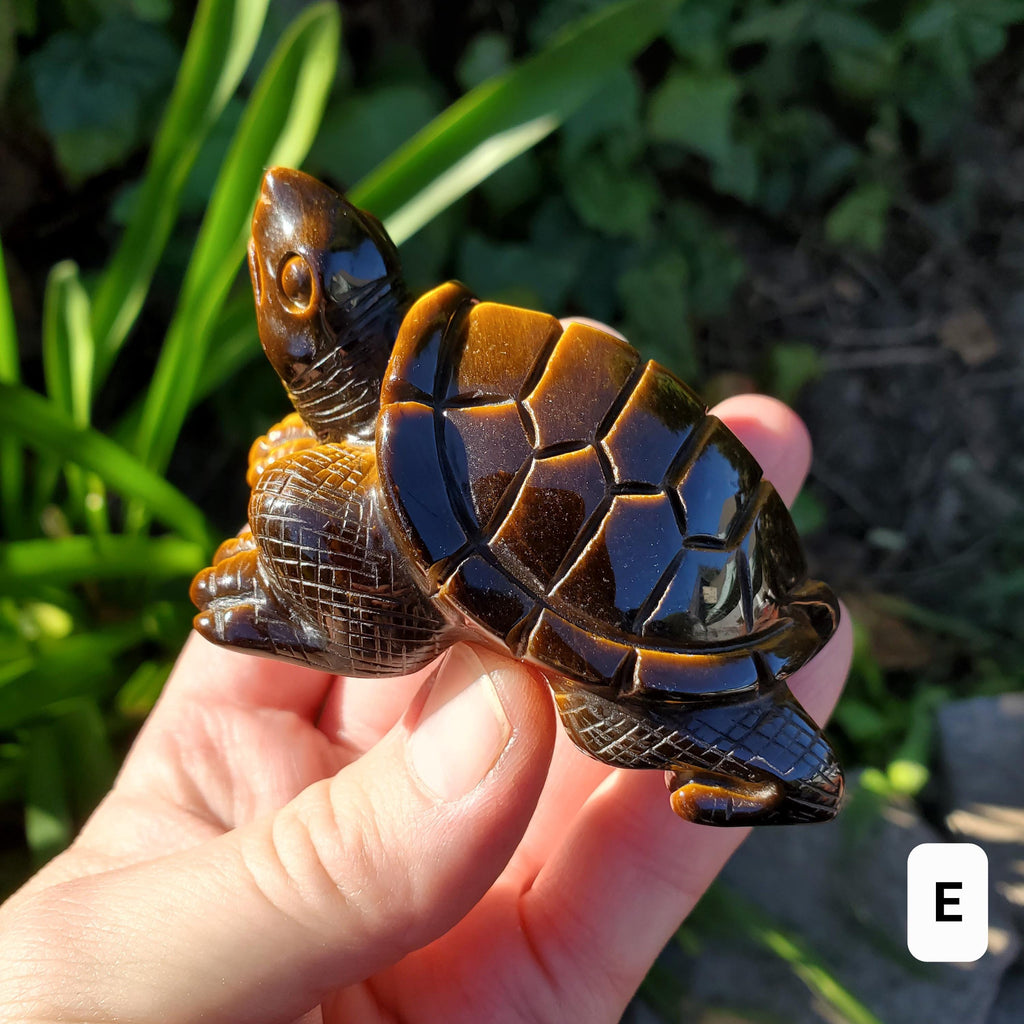 Flashy Tiger Eye Turtle - Courage, Motivation, Confidence, Grounding, Energetic Protection, Energy - Tigers Eye Crystal Healing Gemstones
