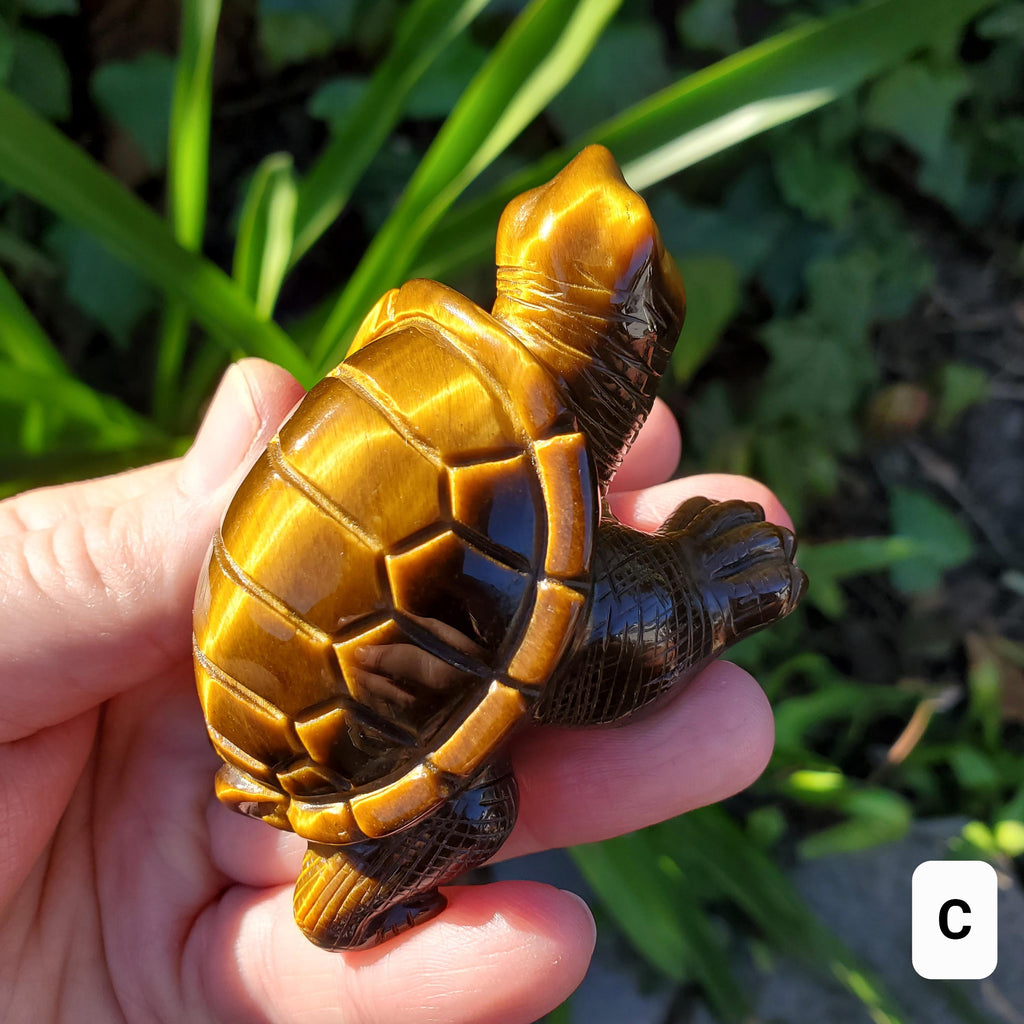 Flashy Tiger Eye Turtle - Courage, Motivation, Confidence, Grounding, Energetic Protection, Energy - Tigers Eye Crystal Healing Gemstones