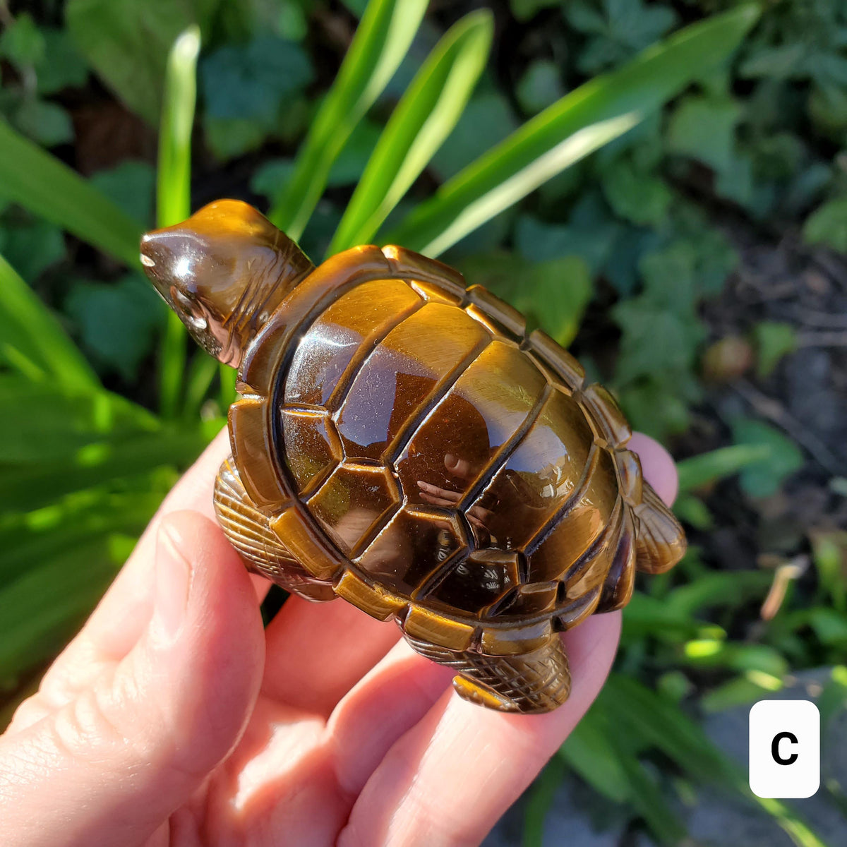 Flashy Tiger Eye Turtle - Courage, Motivation, Confidence, Grounding, Energetic Protection, Energy - Tigers Eye Crystal Healing Gemstones