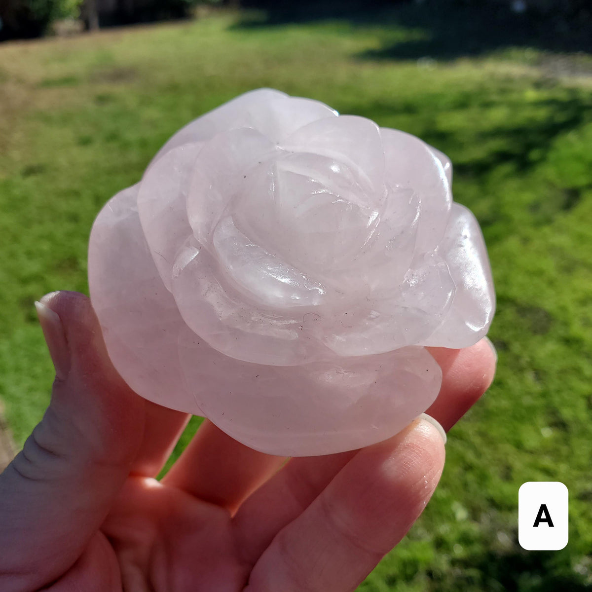 Big Rose Quartz Flower - Unconditional Love, Compassion, Self Love - Pink Crystal Rose Stone Healing Crystals Gemstone Statement