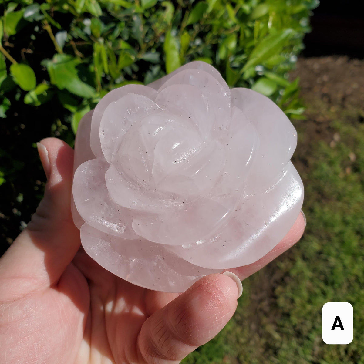 Big Rose Quartz Flower - Unconditional Love, Compassion, Self Love - Pink Crystal Rose Stone Healing Crystals Gemstone Statement