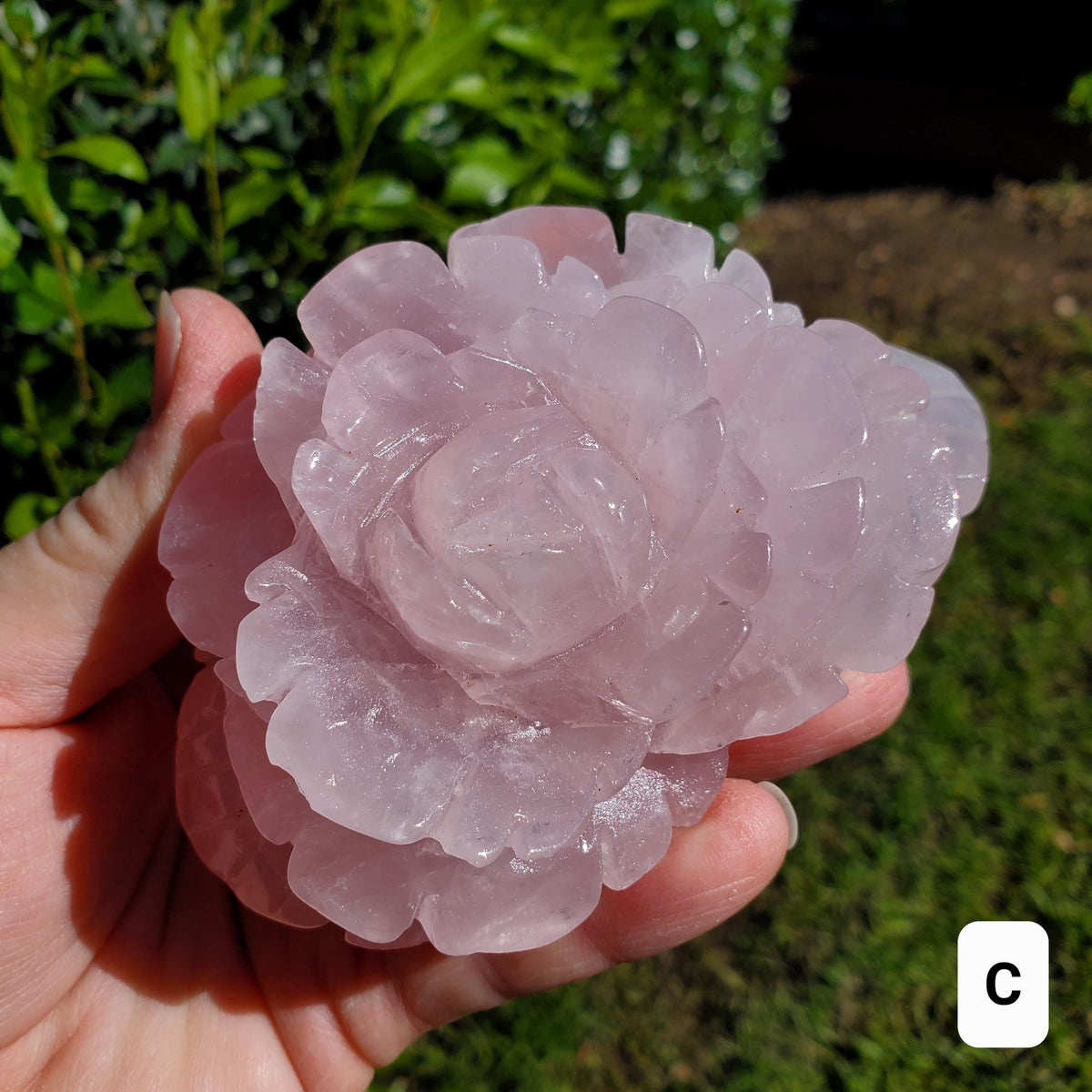 Big Rose Quartz Flower - Unconditional Love, Compassion, Self Love - Pink Crystal Rose Stone Healing Crystals Gemstone Statement