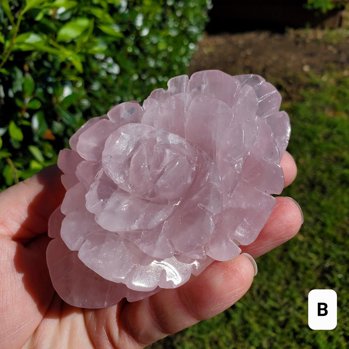 Big Rose Quartz Flower - Unconditional Love, Compassion, Self Love - Pink Crystal Rose Stone Healing Crystals Gemstone Statement
