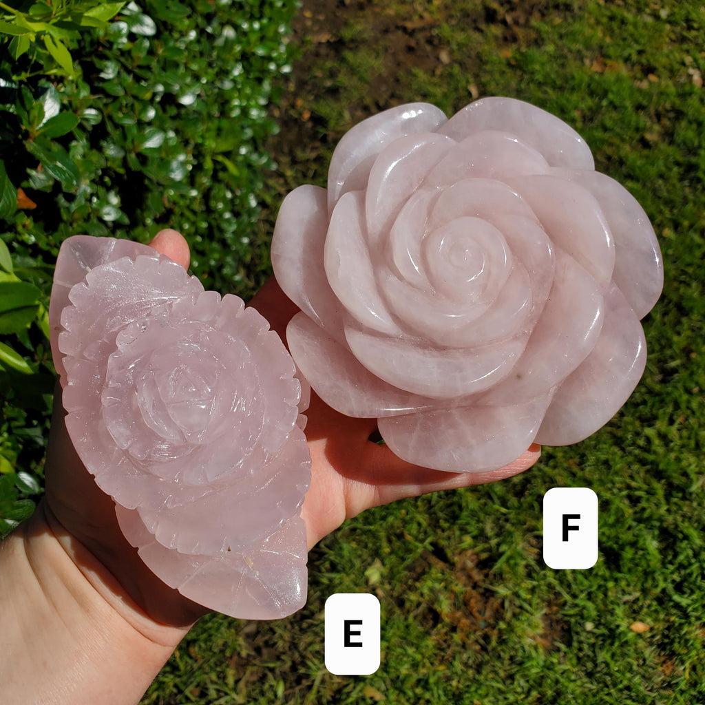 Big Rose Quartz Flower - Unconditional Love, Compassion, Self Love - Pink Crystal Rose Stone Healing Crystals Gemstone Statement