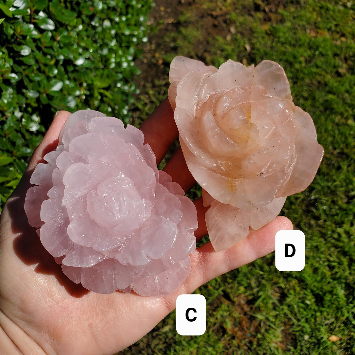 Big Rose Quartz Flower - Unconditional Love, Compassion, Self Love - Pink Crystal Rose Stone Healing Crystals Gemstone Statement