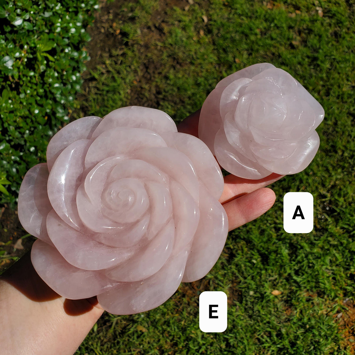 Big Rose Quartz Flower - Unconditional Love, Compassion, Self Love - Pink Crystal Rose Stone Healing Crystals Gemstone Statement