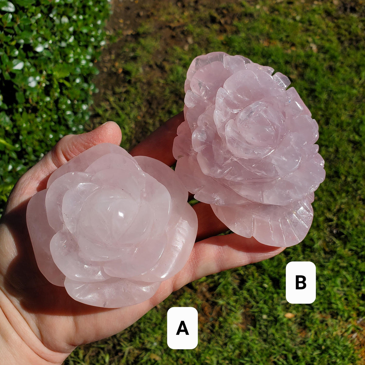Big Rose Quartz Flower - Unconditional Love, Compassion, Self Love - Pink Crystal Rose Stone Healing Crystals Gemstone Statement