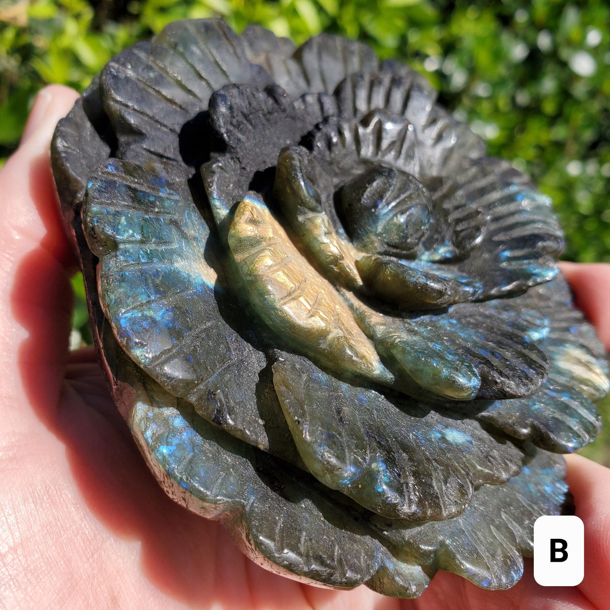 Big Flashy Labradorite Flower - Awareness, Connection, Intuition - Crystal Rose Lab Rose Carving Healing Crystal Gemstone Statement Display