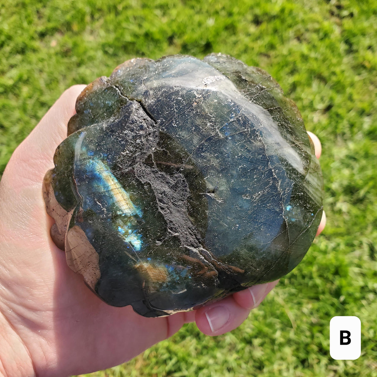 Big Flashy Labradorite Flower - Awareness, Connection, Intuition - Crystal Rose Lab Rose Carving Healing Crystal Gemstone Statement Display