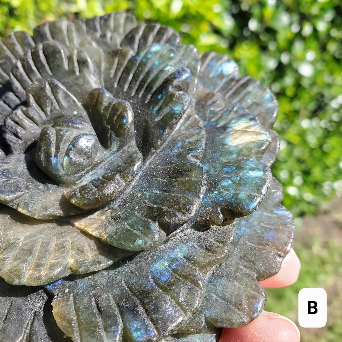 Big Flashy Labradorite Flower - Awareness, Connection, Intuition - Crystal Rose Lab Rose Carving Healing Crystal Gemstone Statement Display