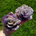 Big Dream Amethyst Flower - Calming, Energetic Protection, Positivity, Spiritual Connection - Purple Amethyst Rose Statement Crystal Healing
