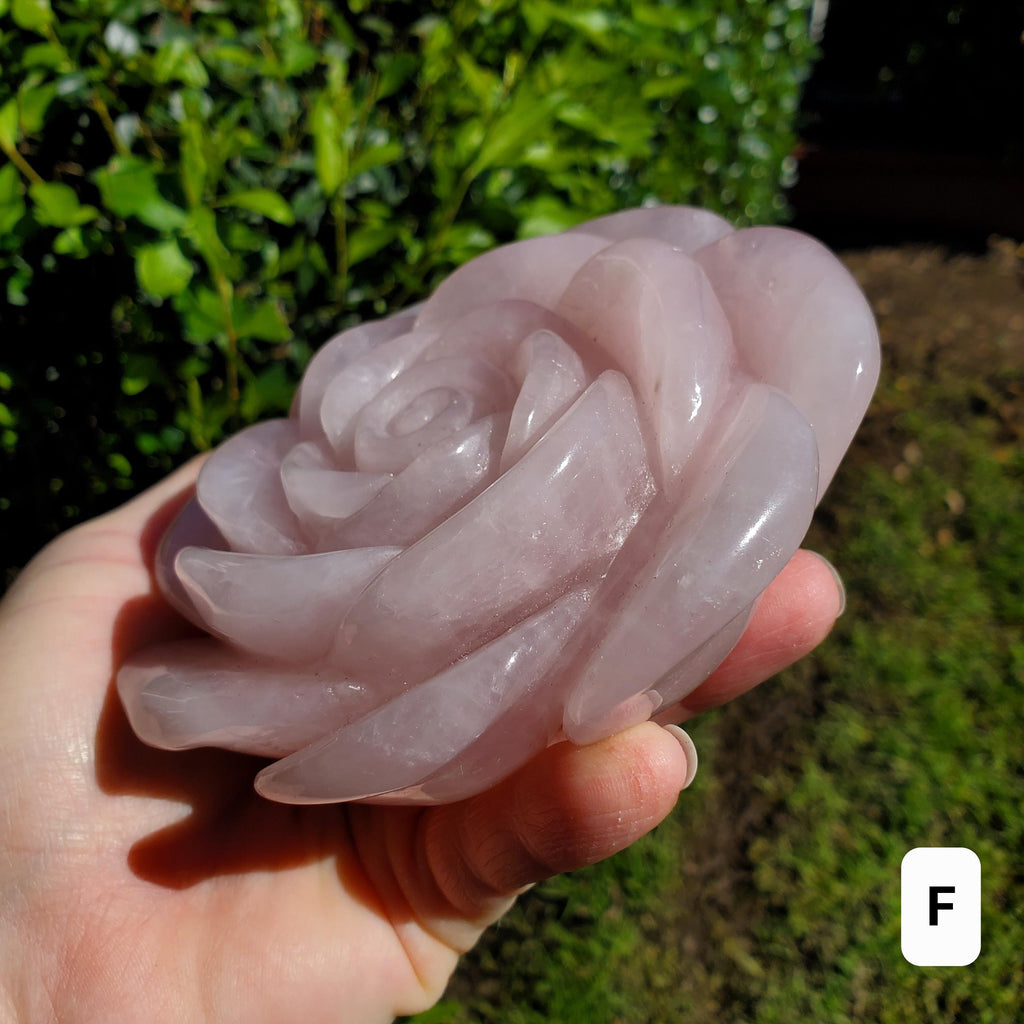 Big Rose Quartz Flower - Unconditional Love, Compassion, Self Love - Pink Crystal Rose Stone Healing Crystals Gemstone Statement