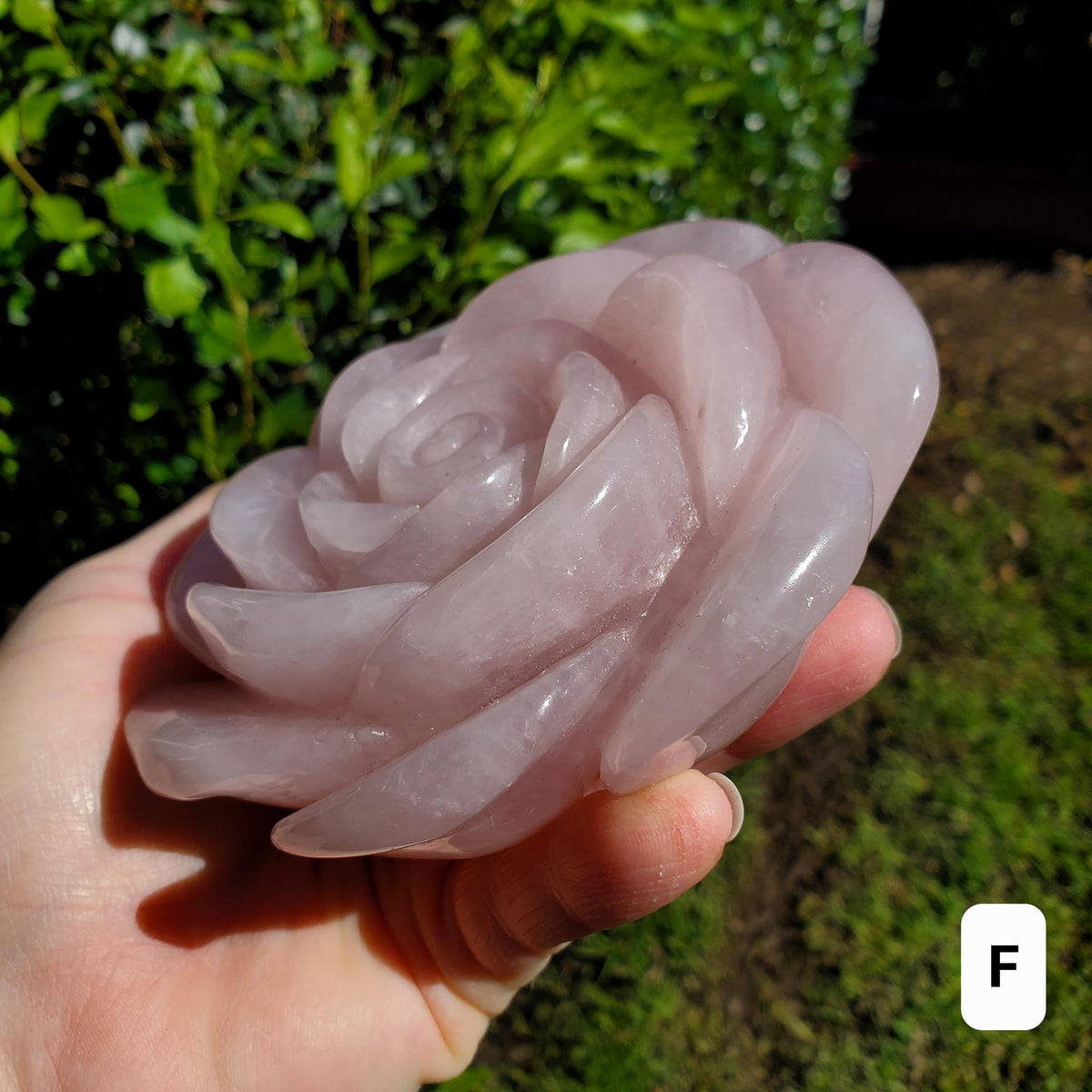 Big Rose Quartz Flower - Unconditional Love, Compassion, Self Love - Pink Crystal Rose Stone Healing Crystals Gemstone Statement