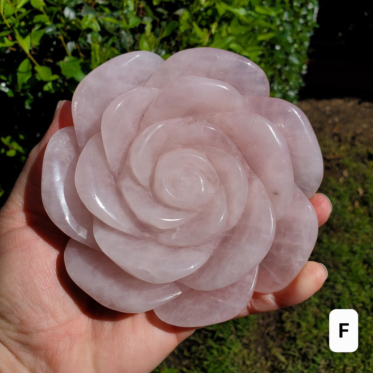Big Rose Quartz Flower - Unconditional Love, Compassion, Self Love - Pink Crystal Rose Stone Healing Crystals Gemstone Statement
