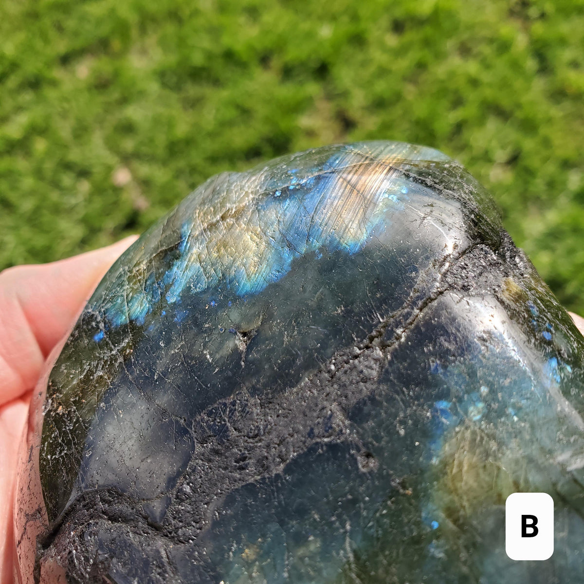 Big Flashy Labradorite Flower - Awareness, Connection, Intuition - Crystal Rose Lab Rose Carving Healing Crystal Gemstone Statement Display
