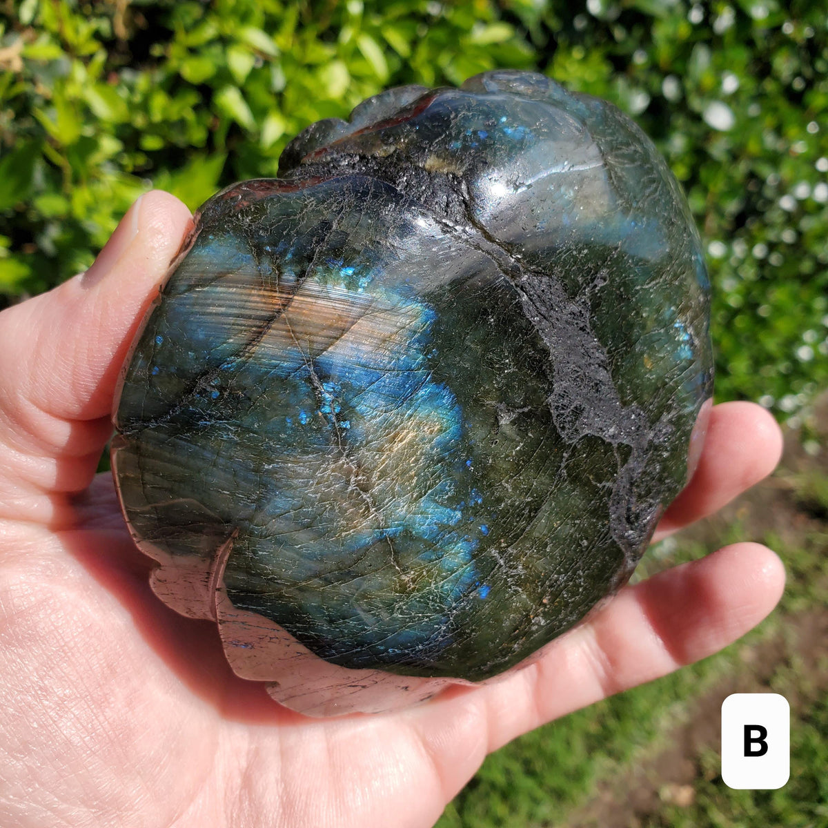 Big Flashy Labradorite Flower - Awareness, Connection, Intuition - Crystal Rose Lab Rose Carving Healing Crystal Gemstone Statement Display