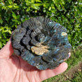 Big Flashy Labradorite Flower - Awareness, Connection, Intuition - Crystal Rose Lab Rose Carving Healing Crystal Gemstone Statement Display
