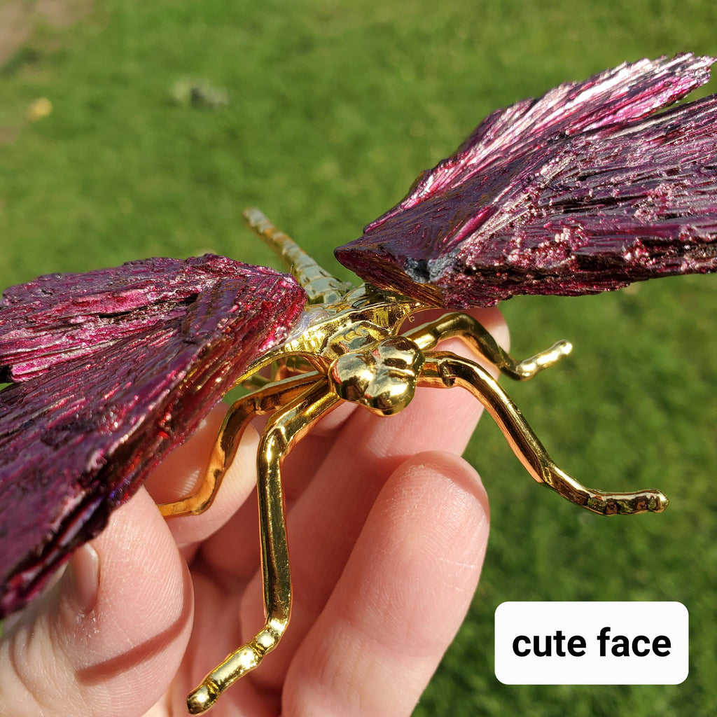 Pink Aura Kyanite Dragonfly - Calming, Clarity, Connection, Communication, Balances Chakras - Pink Dragonfly Healing Gemstone