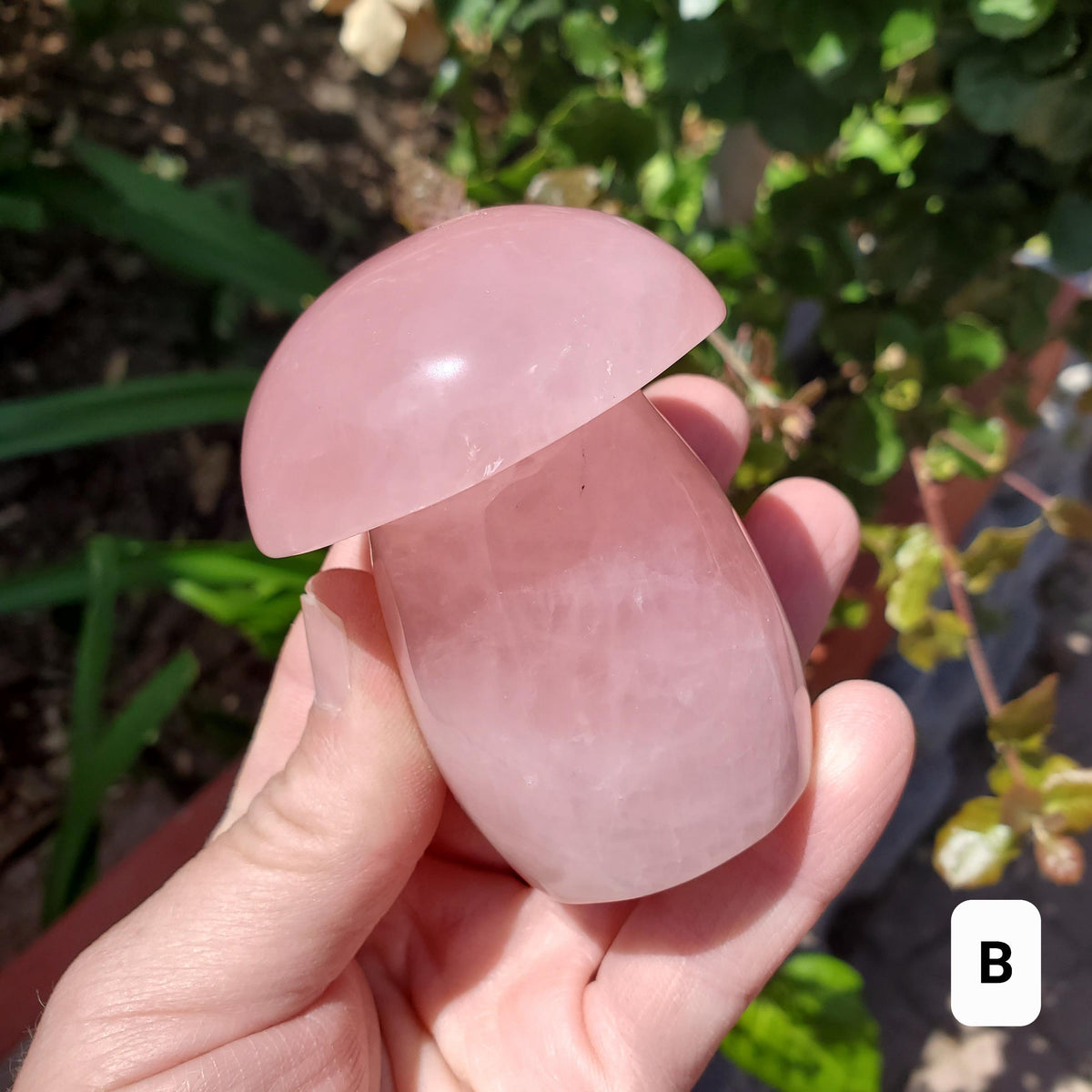 Chunky Rose Quartz Mushroom - Unconditional Love, Forgiveness, Compassion - Pink Crystal Mushroom Stone Healing Crystals Gemstones